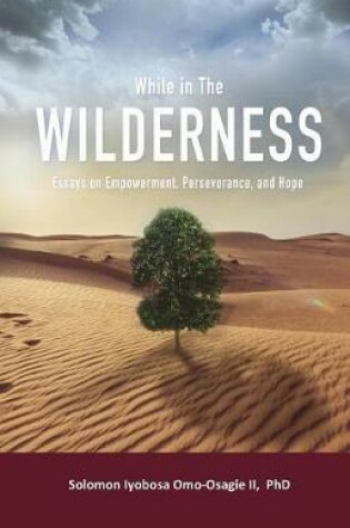 Cover of While in the Wilderness