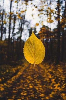 Book cover for A Yellow Leaf of Autumn Floating Down in the Woods