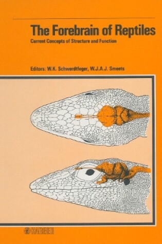 Cover of The Forebrain of Reptiles