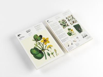 Book cover for Natural History: A5 Notepad