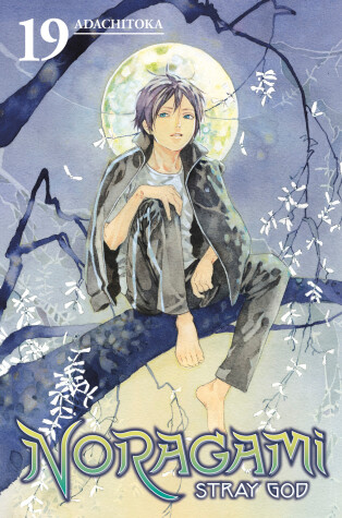 Cover of Noragami: Stray God 19