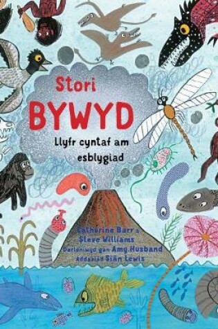 Cover of Stori Bywyd