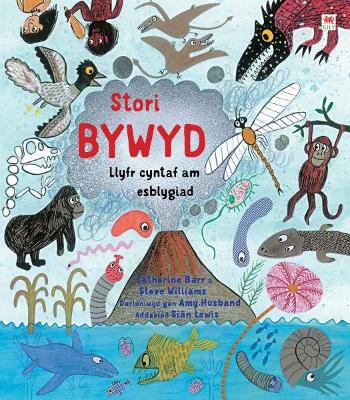 Book cover for Stori Bywyd