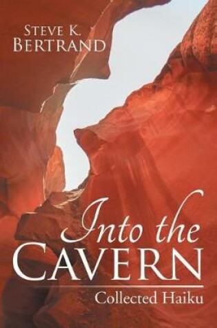 Cover of Into the Cavern