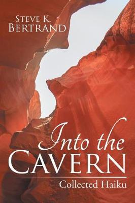 Book cover for Into the Cavern