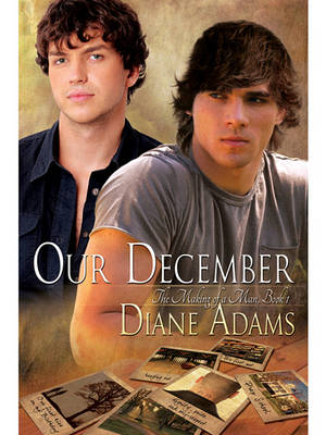 Our December by Diane Adams