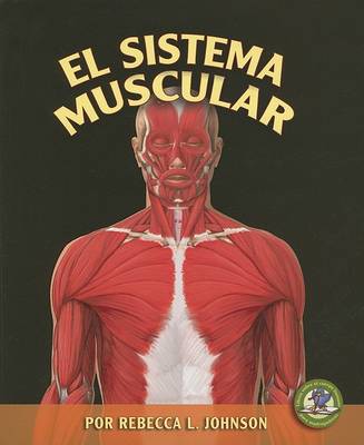 Book cover for El Sistema Muscular