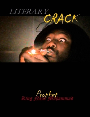 Book cover for Literary Crack