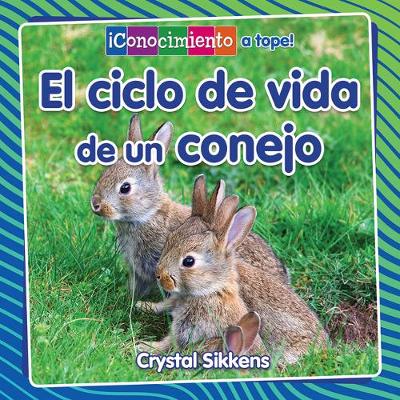 Cover of El Ciclo de Vida de Un Conejo (the Life Cycle of a Rabbit)