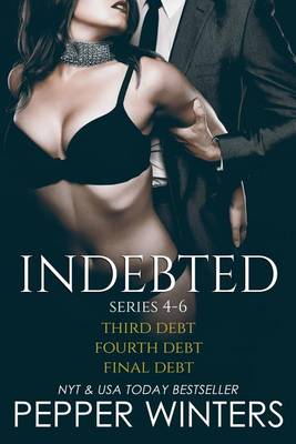 Book cover for Indebted Series 4-6