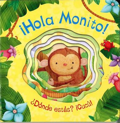 Book cover for Hola Monito