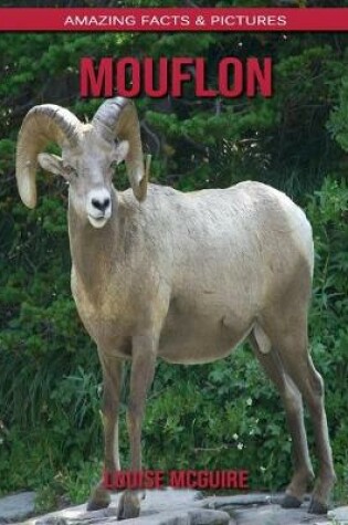 Cover of Mouflon