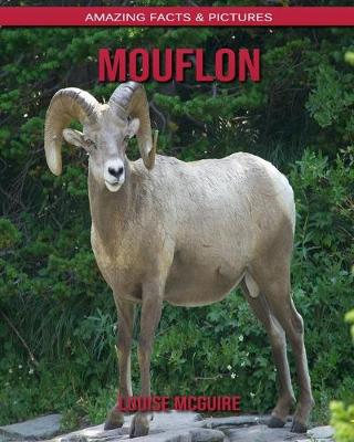 Book cover for Mouflon