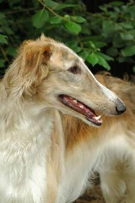 Book cover for The Borzoi Dog Journal