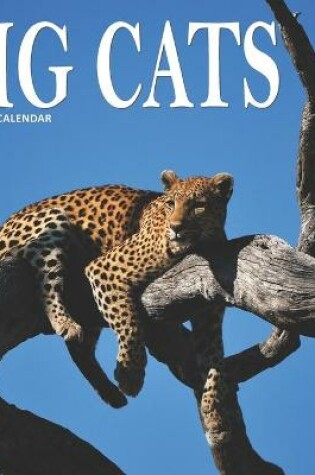 Cover of Big Cats