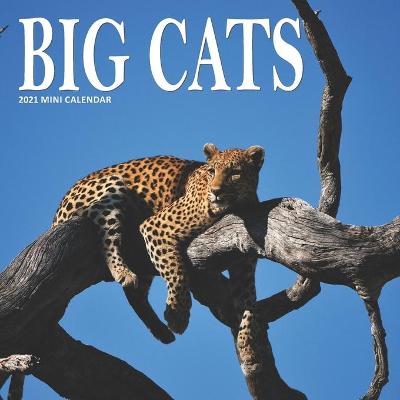 Cover of Big Cats