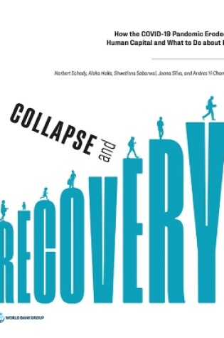 Cover of Collapse and Recovery