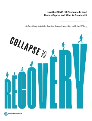 Book cover for Collapse and Recovery