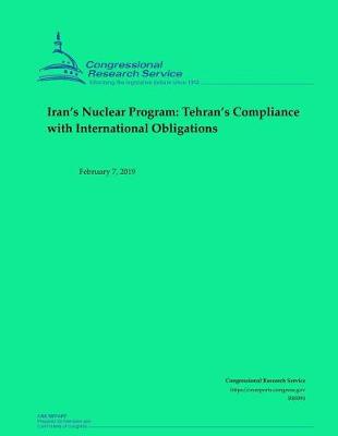 Book cover for Iran's Nuclear Program