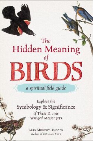 Cover of The Hidden Meaning of Birds--A Spiritual Field Guide