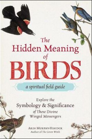 Cover of The Hidden Meaning of Birds--A Spiritual Field Guide