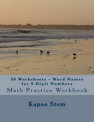 Cover of 30 Worksheets - Word Names for 9 Digit Numbers