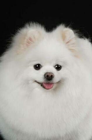 Cover of Fluffy White Pomeranian Dog Journal