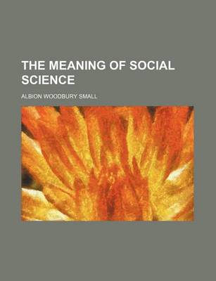 Book cover for The Meaning of Social Science