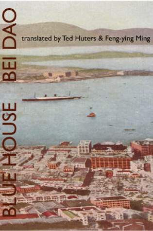 Cover of Blue House