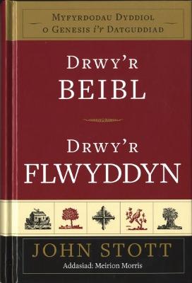 Book cover for Drwy'r Beibl Drwy'r Flwyddyn