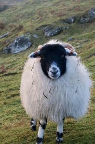 Cover of Fluffy Scottish Black-Faced Sheep Journal