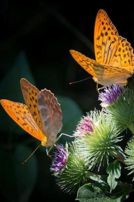 Book cover for Silver Bordered Fritillaries