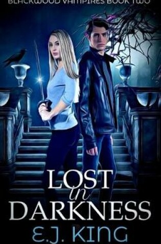 Cover of Lost in Darkness