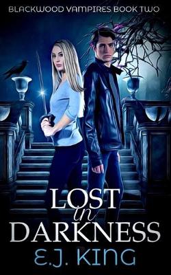 Cover of Lost in Darkness