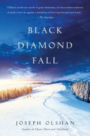 Cover of Black Diamond Fall