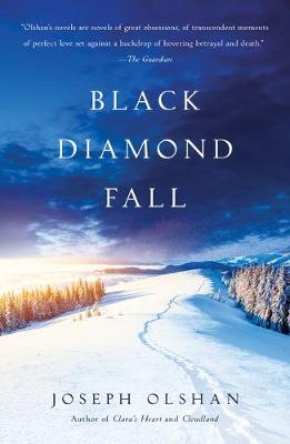 Book cover for Black Diamond Fall