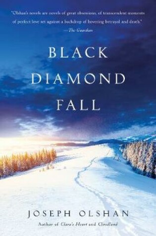 Cover of Black Diamond Fall