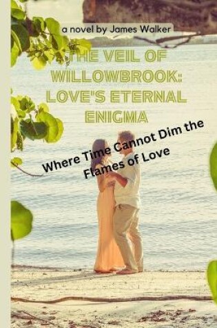 Cover of The Veil of Willowbrook