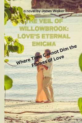 Book cover for The Veil of Willowbrook