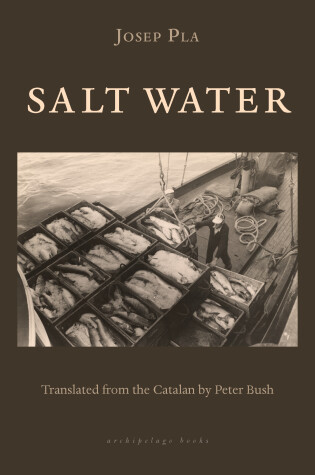 Cover of Salt Water