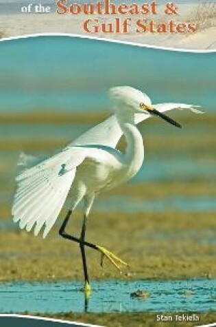 Cover of Shorebirds of the Southeast & Gulf States