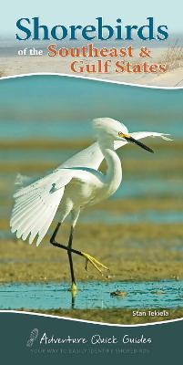 Book cover for Shorebirds of the Southeast & Gulf States