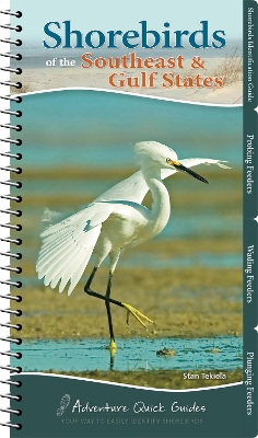 Book cover for Shorebirds of the Southeast & Gulf States