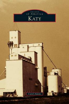 Book cover for Katy