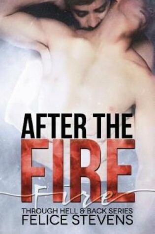 Cover of After the Fire