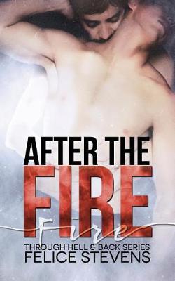 Book cover for After the Fire