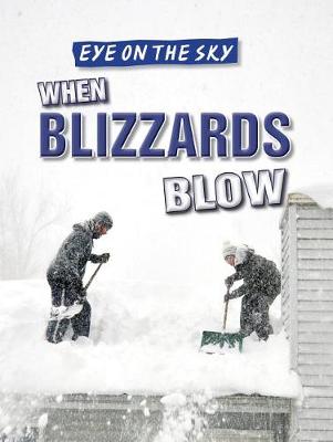 Book cover for When Blizzards Blow