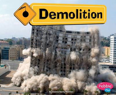 Cover of Demolition