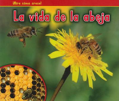 Book cover for La Vida de la Abeja