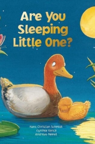 Cover of Are You Sleeping Little One?